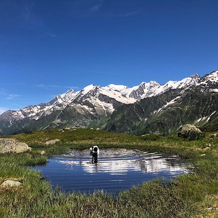 Chalet en pleine nature avec 2 appartements pour 6 ou 8 qui peuvent être réunis en 1 pour 14 personnes Saint-Gervais-les-Bains Extérieur photo
