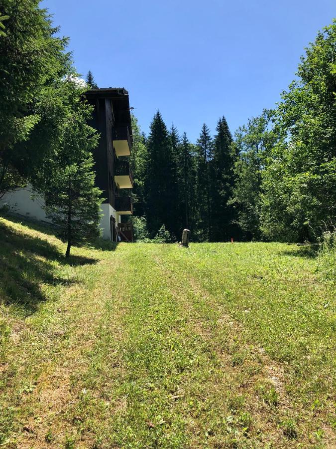 Chalet en pleine nature avec 2 appartements pour 6 ou 8 qui peuvent être réunis en 1 pour 14 personnes Saint-Gervais-les-Bains Extérieur photo