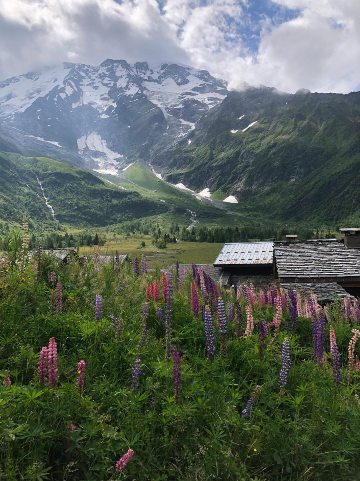 Chalet en pleine nature avec 2 appartements pour 6 ou 8 qui peuvent être réunis en 1 pour 14 personnes Saint-Gervais-les-Bains Extérieur photo