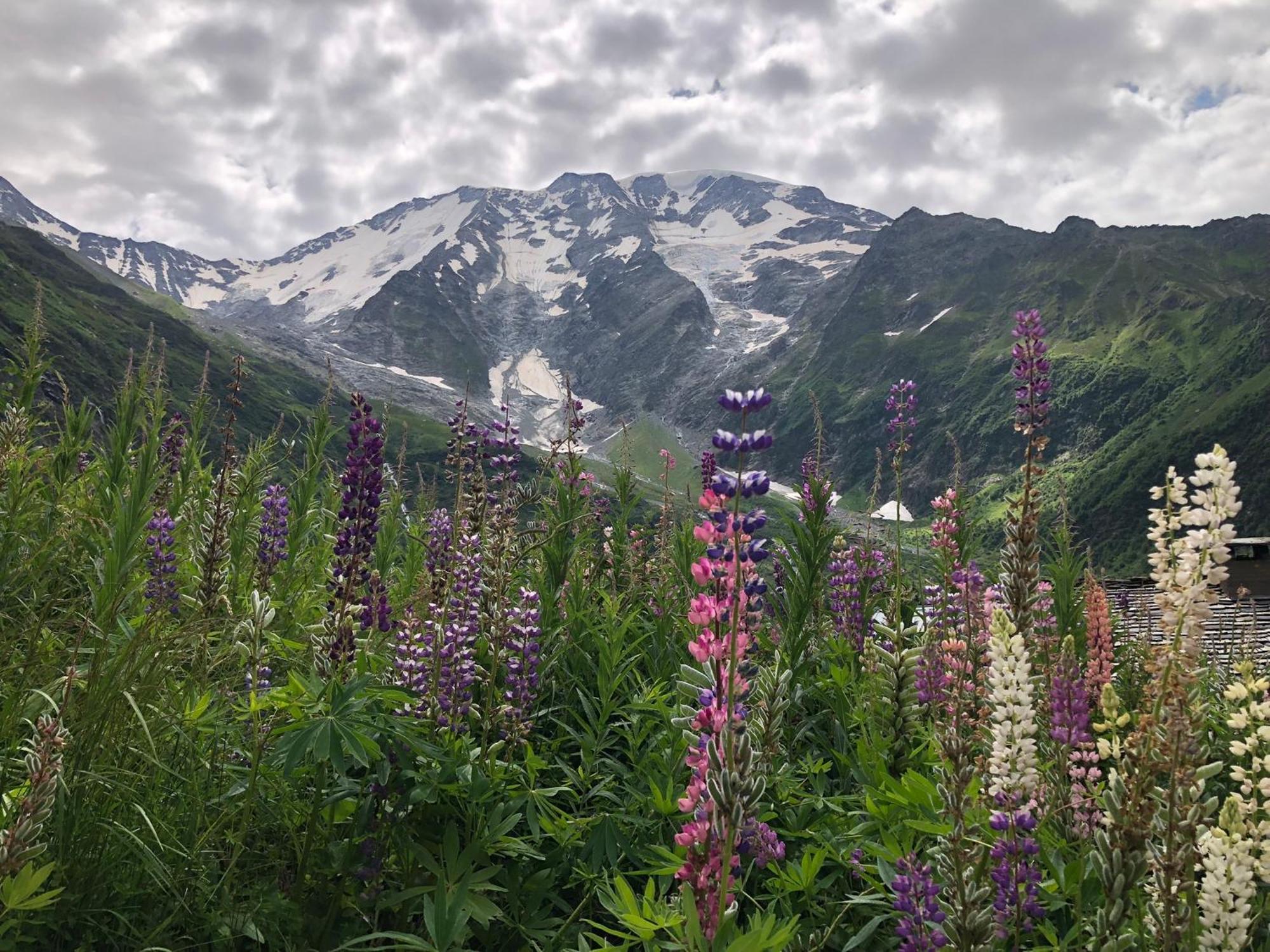 Chalet en pleine nature avec 2 appartements pour 6 ou 8 qui peuvent être réunis en 1 pour 14 personnes Saint-Gervais-les-Bains Extérieur photo